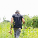 Fall Produce from Atlas Farms